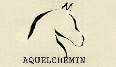 Aquelchemin